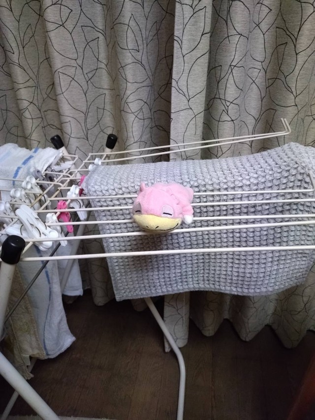 じいじからの2枚目。タオルやマットと一緒にヤドンも干されている！？（ミントさんXより）