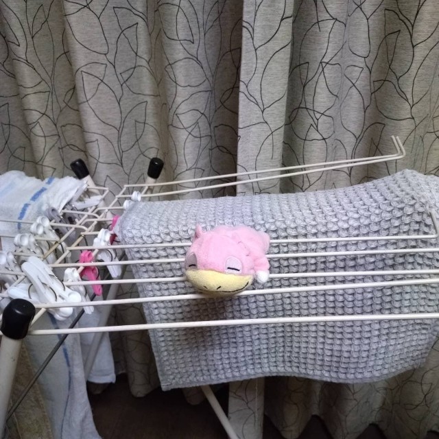じいじからの2枚目。タオルやマットと一緒にヤドンも干されている！？（ミントさんXより）