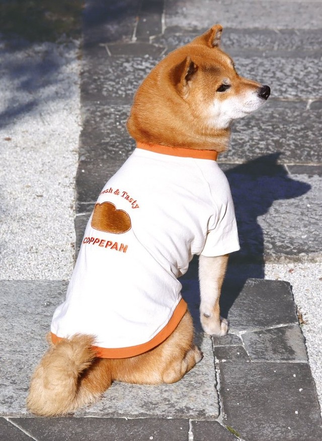 これは可愛い！犬の背中に、それぞれのわんちゃんのオリジナルの「コッペパン」ができる服(画像提供：企画デザイン２時）