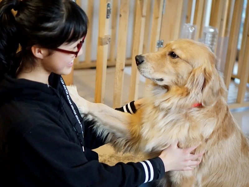 「晴奈ちゃん、僕の話を聞いて」