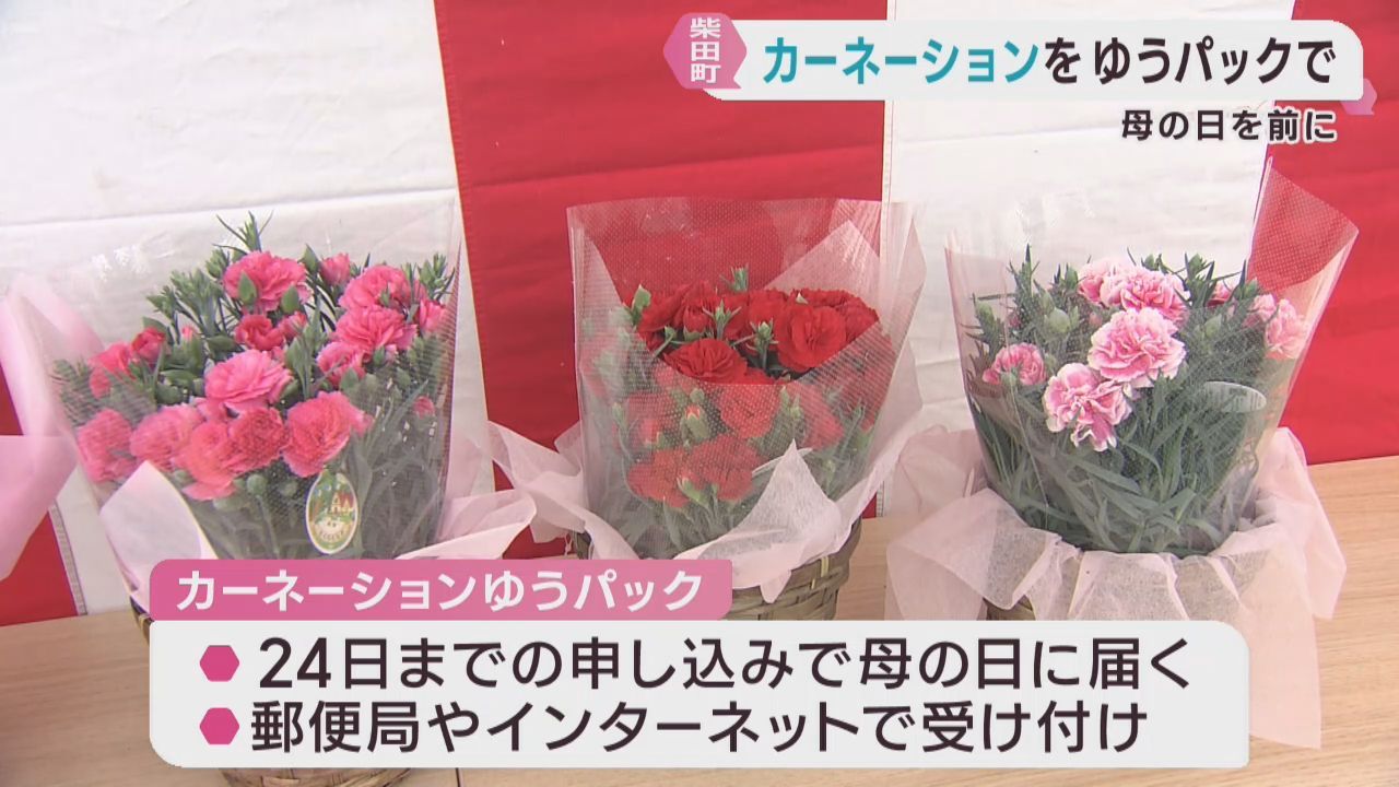 母の日にカーネーションをゆうパックで　宮城・柴田郵便局