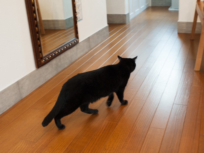 「なんか食べるものないかな」（小林写函撮影）