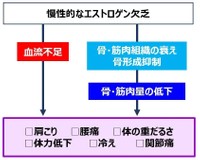 更年期後不調のメカニズム（出典：小林製薬調べ）