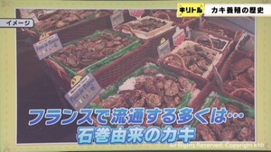 カキ養殖は江戸時代から　宮城・石巻市の世界のカキ王が画期的な養殖を考案