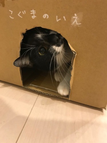 「こぐまのいえ」の入り口は小さすぎてくまおは入れず…