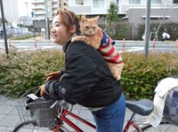 小川さんの肩にしがみつく「マロン」（滋賀県草津市）
