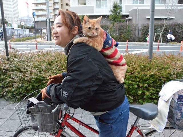 小川さんの肩にしがみつく「マロン」（滋賀県草津市）
