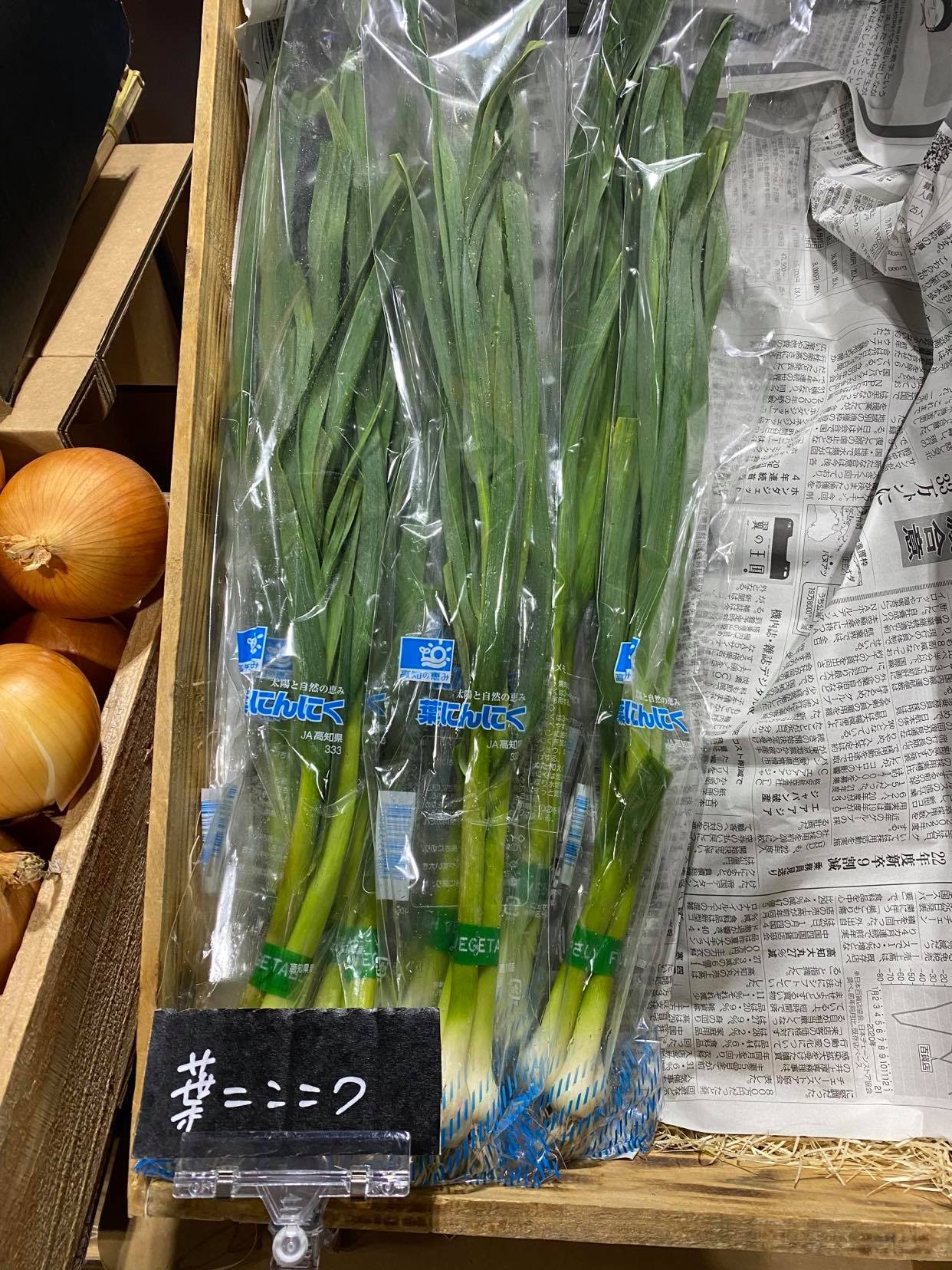 葉にんにく」って知っちゅう？ 一見ニラだけど特徴ある香り…野菜の宝庫