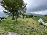 たった40分で草ぼうぼうの土手がこんなに綺麗に