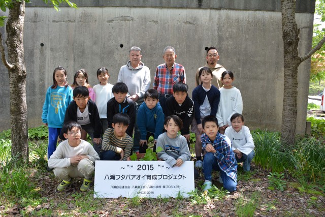 八瀬小でフタバアオイ栽培に関わる児童と地元住民ら（京都市左京区・八瀬小）
