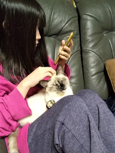 お姉ちゃんのひざの上（金地さん提供）