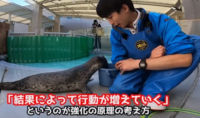 行動→結果→その行動が増える…「強化の原理」は私たちの日常生活にも生かせると