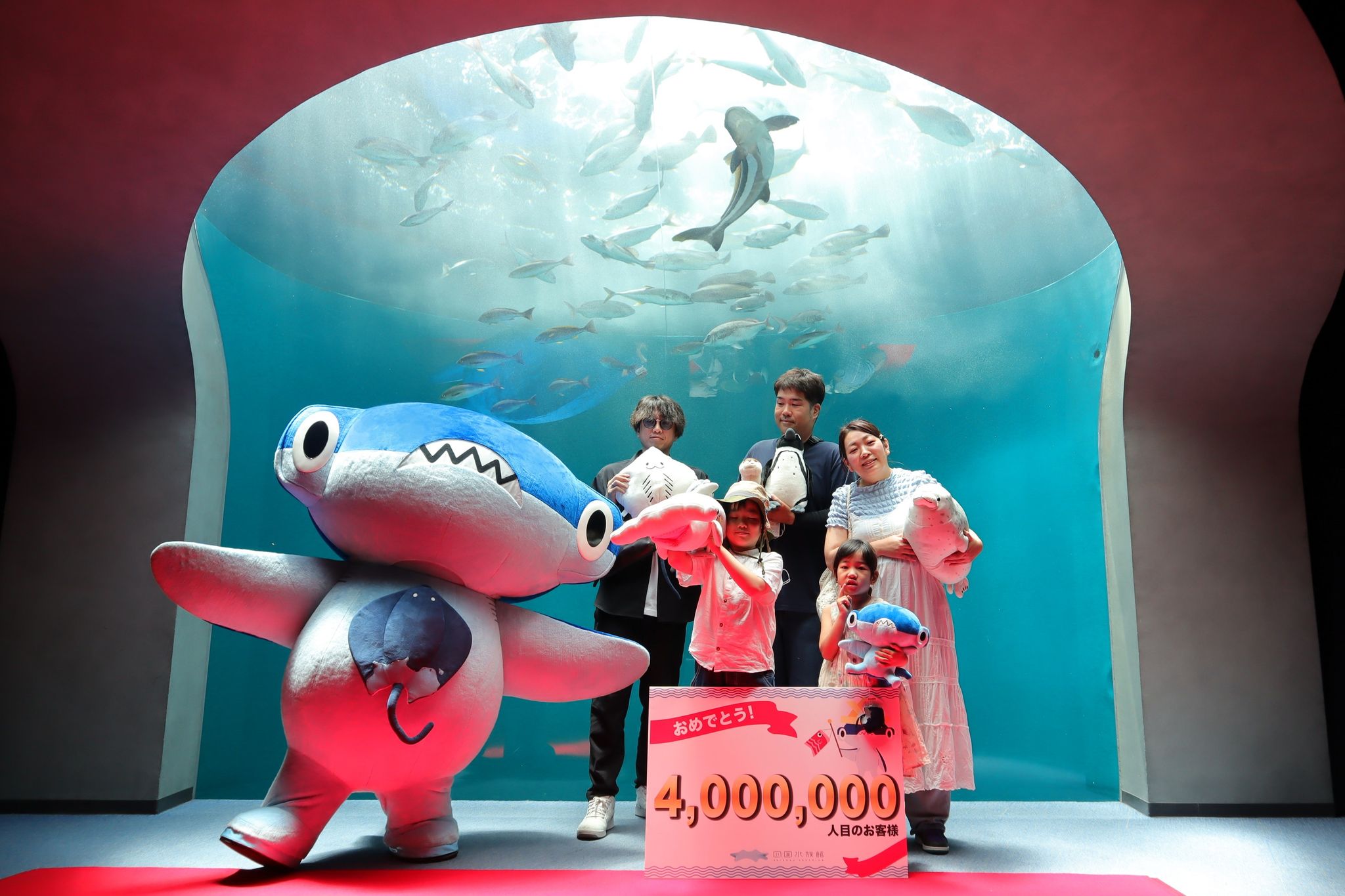 四国水族館 来館者数400万人達成 香川・宇多津町 | KSBニュース | KSB
