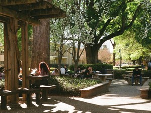 子どもの頃にたくさんあった夢。諦めていたはずが、叶った小さなこと