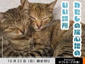 【アマギフ対象】「わたしの居心地のいい場所」でエッセイ募集！10月22日（日）締切