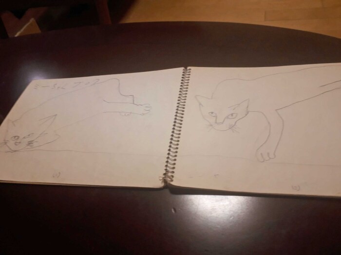 足の位置や重ね方の微妙な違いまで細かく描いていたようだ。「ミーちゃんブック」から