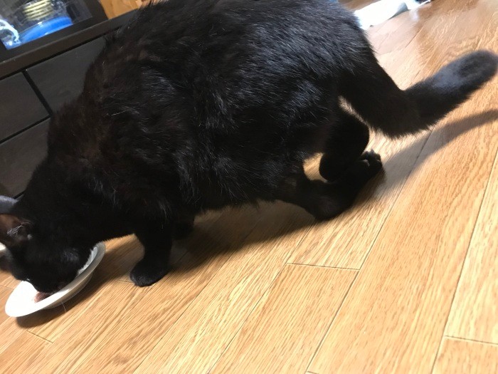 脚に後遺症が見られる（小野さん提供）