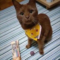 ママがスタイを作ってくれたの