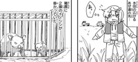 箱罠にかかった状態でも、間近でみると迫力がある　(c) Aoba / KADOKAWA