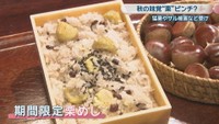 期間限定の栗めし