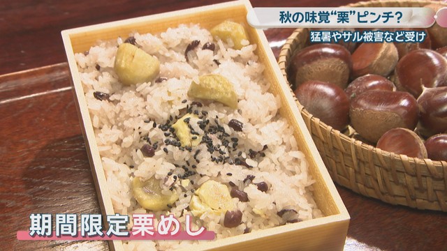 期間限定の栗めし
