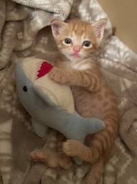 大切なお友だちだね（三吉さん提供）