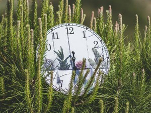 過去帳をめくりタイムスリップ。私が私であることに「ありがとう」