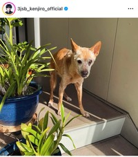 山下健二郎（@3jsb_kenjiro_official）さんのインスタグラムより