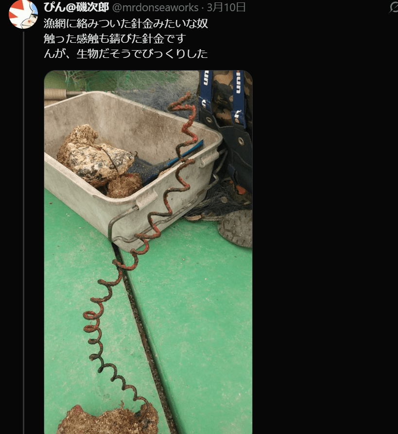 不法投棄と思いきや、なんと生き物