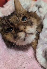 亡くなる2日前の様子