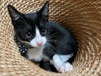 麦わら帽子に埋もれて