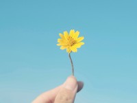 「わかってくれない人」と思われても、私は誰の味方にもなりたくない