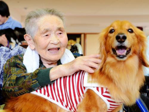 「アニマルセラピー」介護の現場でも　入所者から歓声