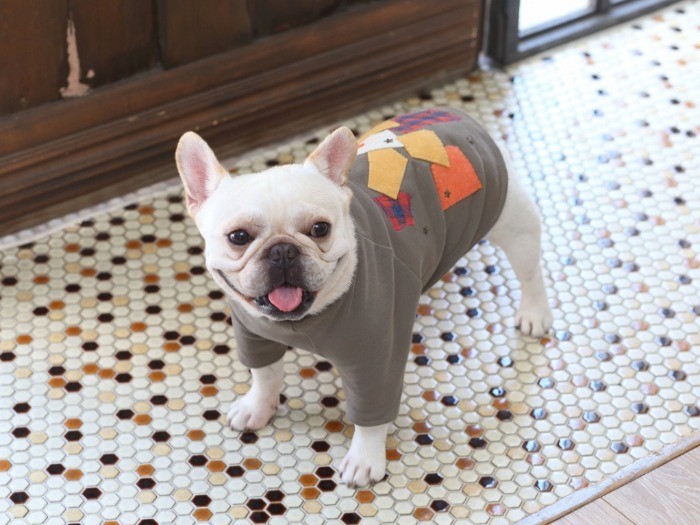 アップリケやスタッズで個性をアピール。