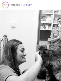 @vets_nowより