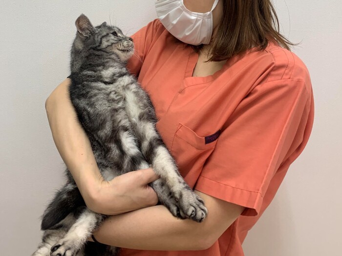 リラックスしてもらうため、動物にたくさん話しかける（ちかさん提供）