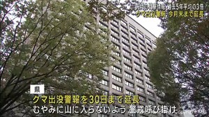宮城県のクマ出没警報　１１月末まで延長　引き続き警戒を呼び掛け