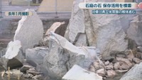 2025年1月撮影