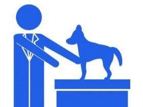 狂犬病ワクチンも生産停止　国内唯一の業者　熊本地震で被災 