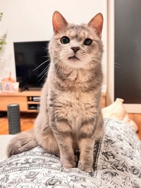 ふっくらと健康的になった翠ちゃん（画像提供：@rhdrw.anさん）