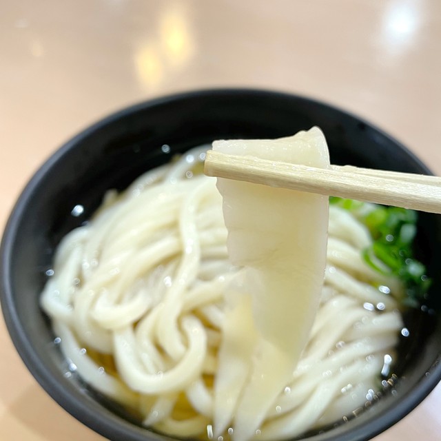 うどん発祥の地で「アタリ」のうどん、見つけた！　道の駅・滝宮で「みみ入り」手打ちうどんを4月10日から販売　香川