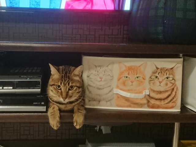 似てる？＝渡邉さん提供