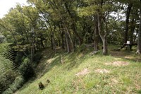 虎御前山城跡(書籍『ぶらり豊臣秀吉・秀長ゆかりの城めぐり』マコト出版刊より）