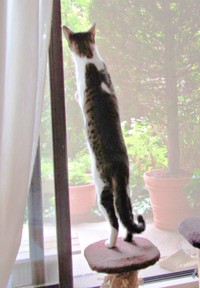 思わず二度見！ 体がながーいくうちゃん（画像提供：Ｙさん）