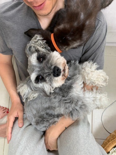 いつも無言で甘えてきます