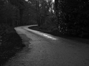 モノクロの世界で声を上げる母。小学生誘拐未遂事件を逃れた雨の日の記憶