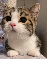 ほけっとした口元が可愛い＝しずわらひなたさん（@shizuwarahinata）提供