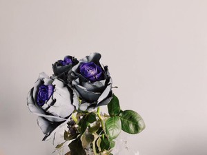 私のあくなき探求心は、20代前半にして５回もの「豊富な」転職経験となった