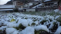 強い寒気…岡山県北部で20センチを超える積雪　岡山市では初雪を観測