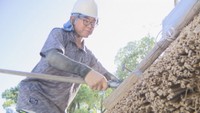 職人がかやぶき屋根をふき替え 岡山後楽園(岡山･北区)